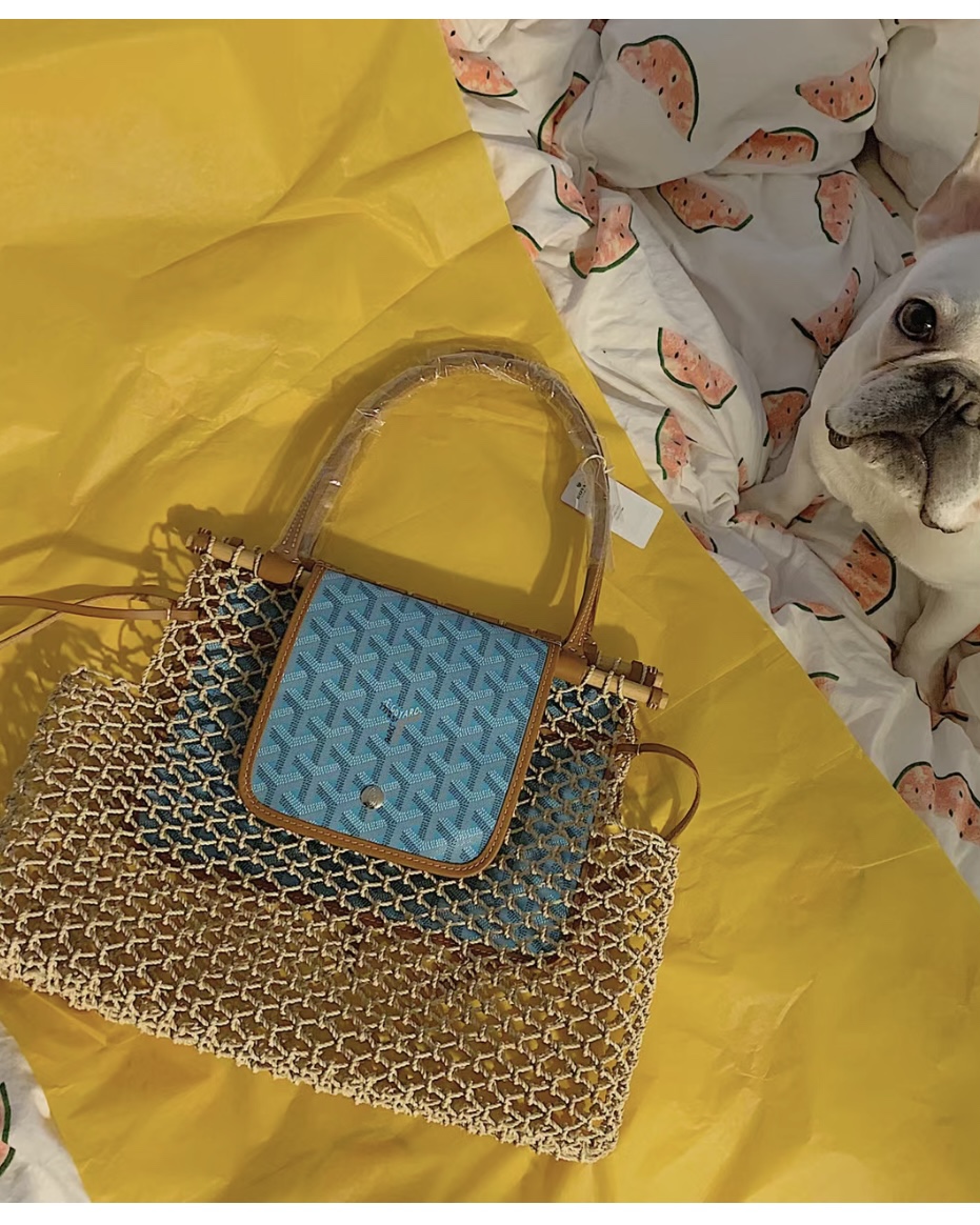 Goyard Aligre Net Tote