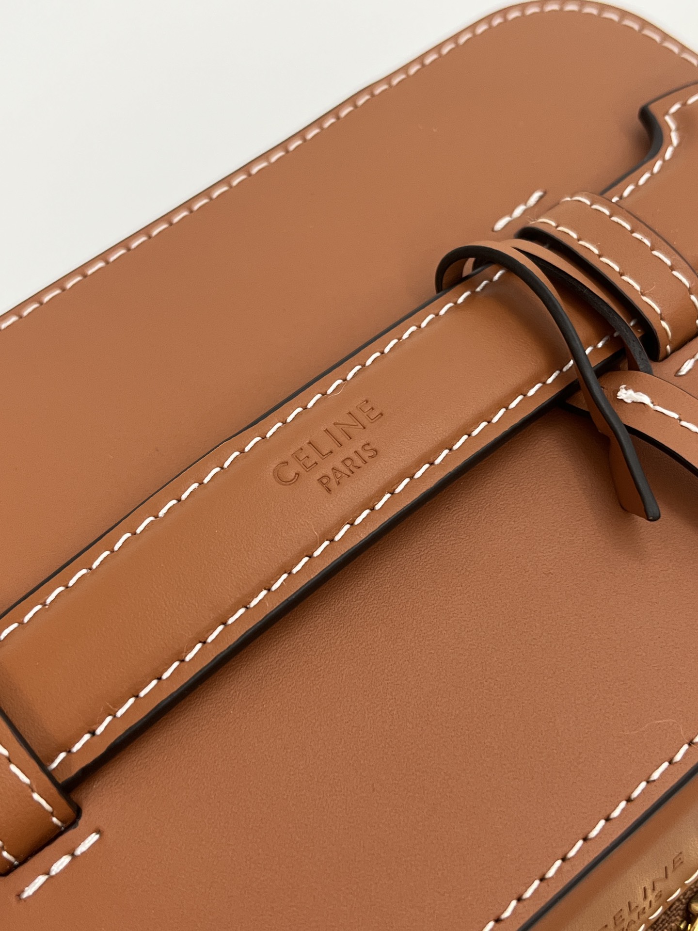 Celine Vanity Case in Caramel