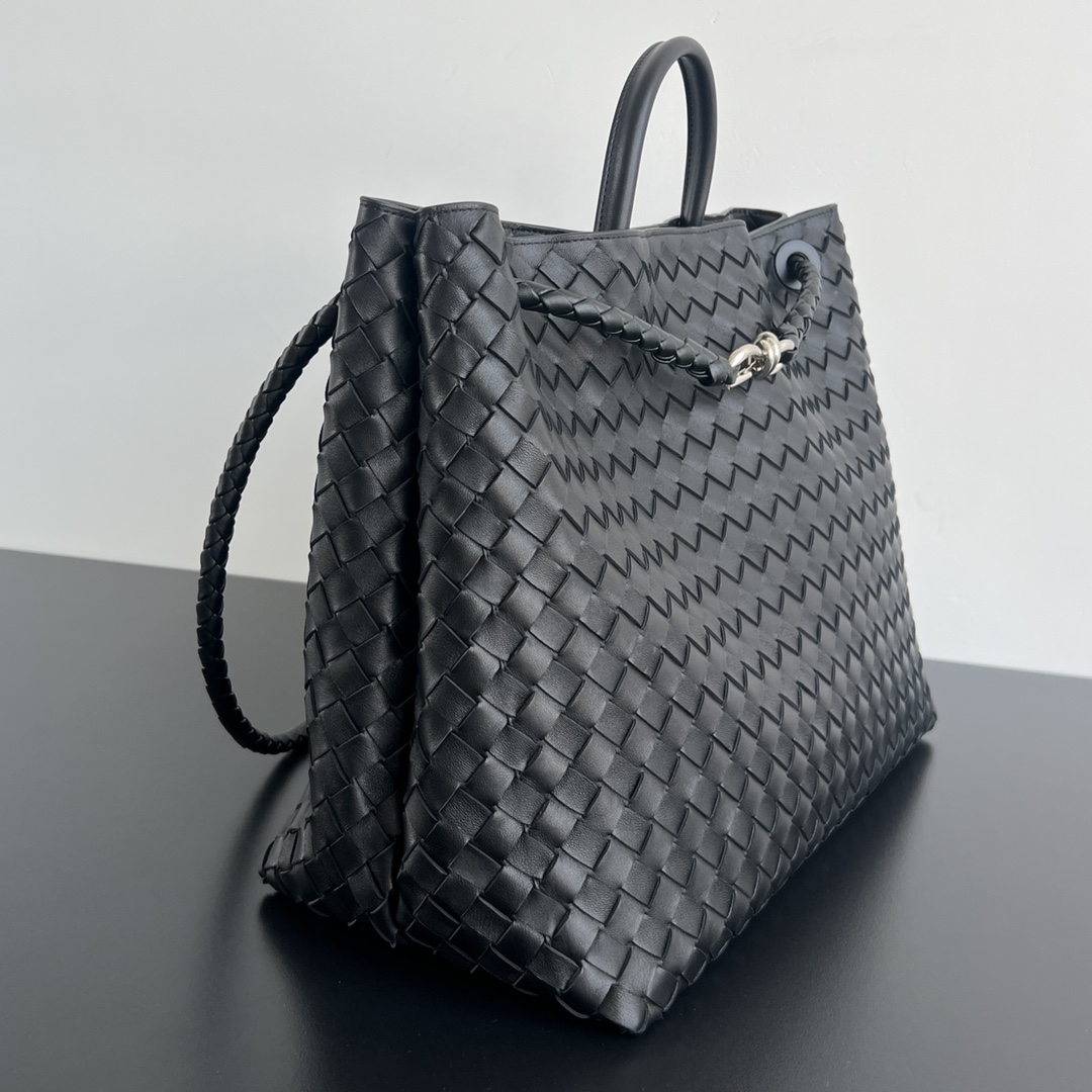Bottega Veneta Andiamo Bag (Model 743575