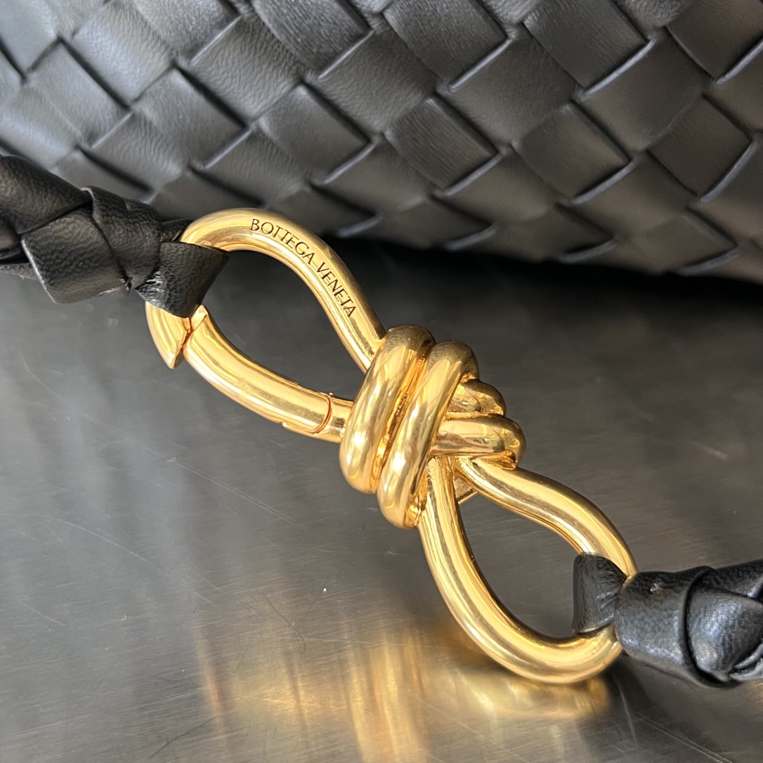 Bottega Veneta Andiamo Bag (Model 743575