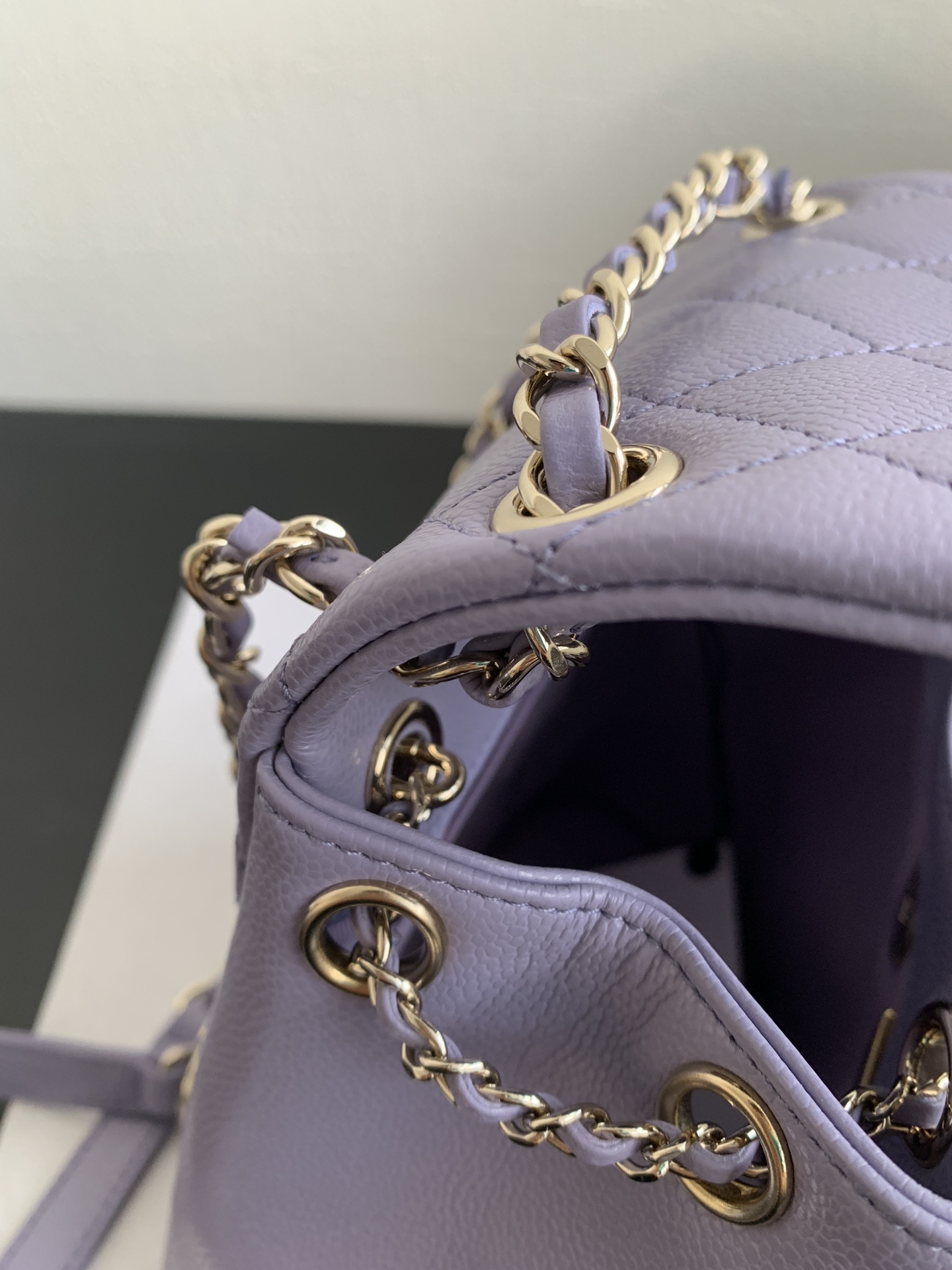 Chanel 24A Duma Backpack in Stardust Purple