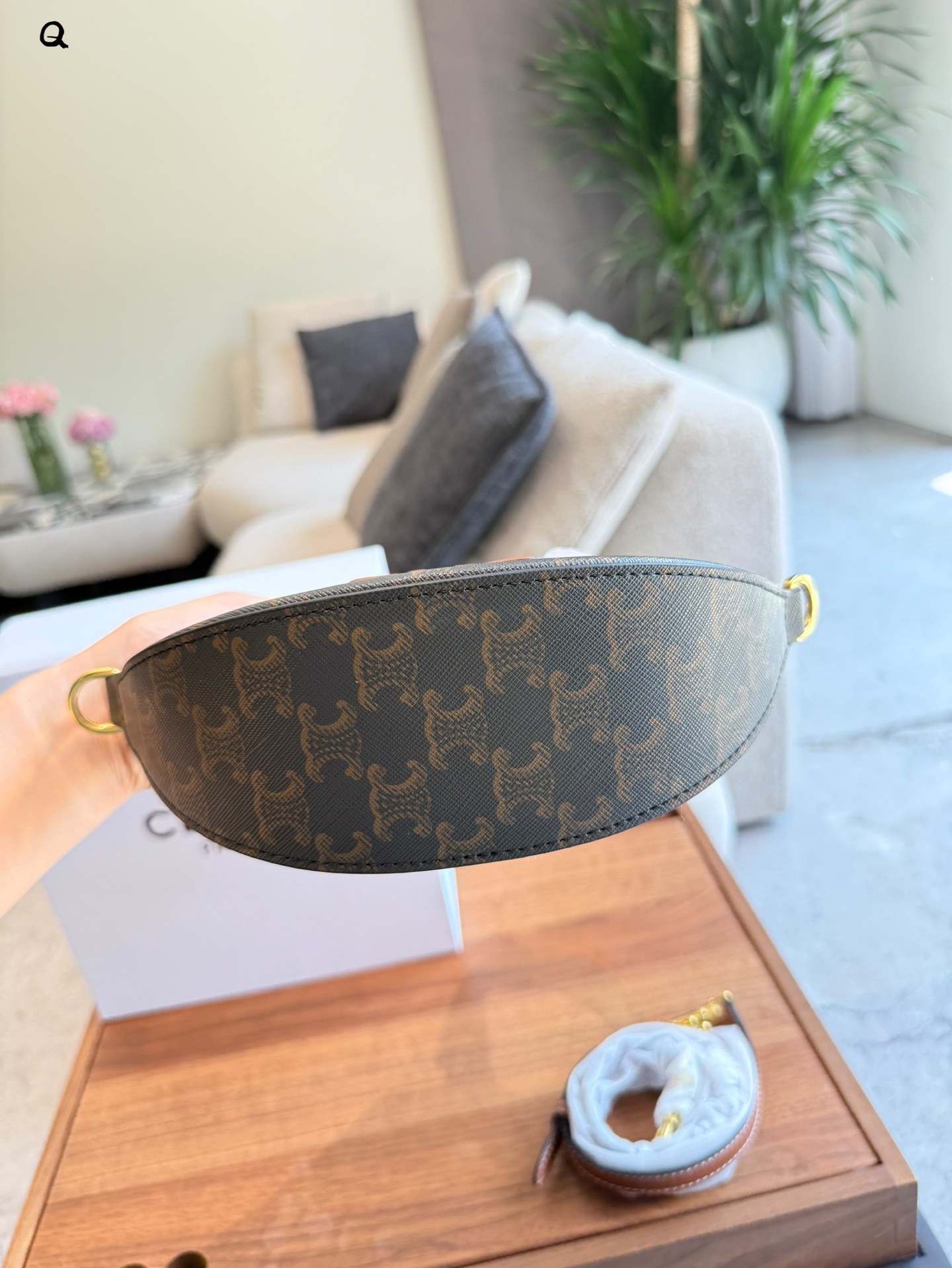 Celine OVAL BAG IN Triomphe Canvas and calfskin