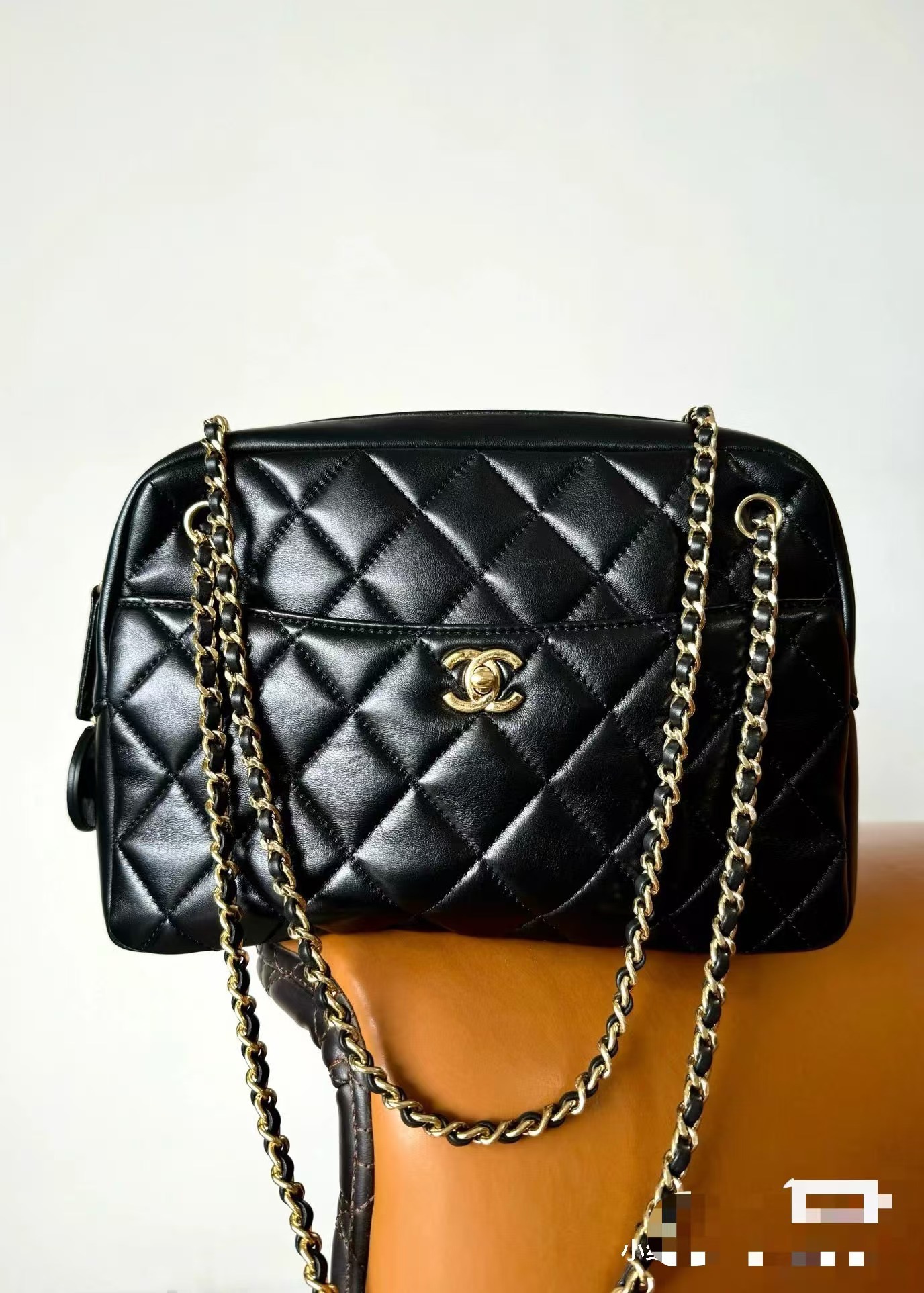 OHANEL Gold Coin Microbadge Camera Bag