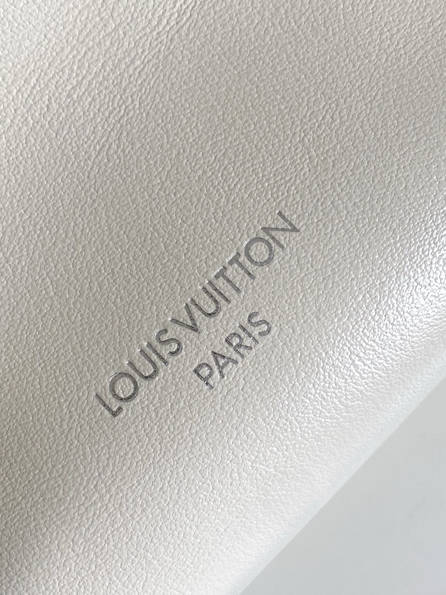 Louis Vuitton Speedy Cargo Bag