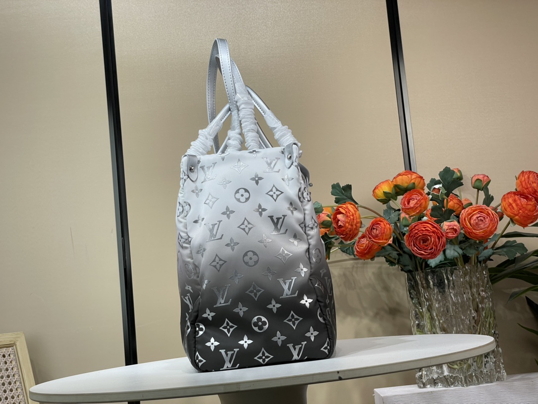 LV-M11847 OnTheGo MM