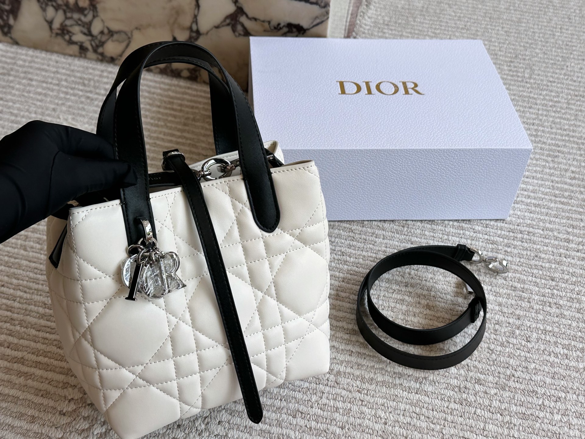 Dior Toujours SAMLL Black & White “Panda” Edition