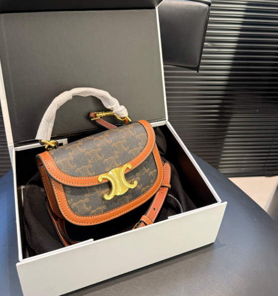 CELINE MINI BESACE CLEA in Triomphe canvas and calfskin