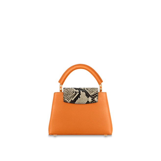 Louis vuitton Capucine MINI