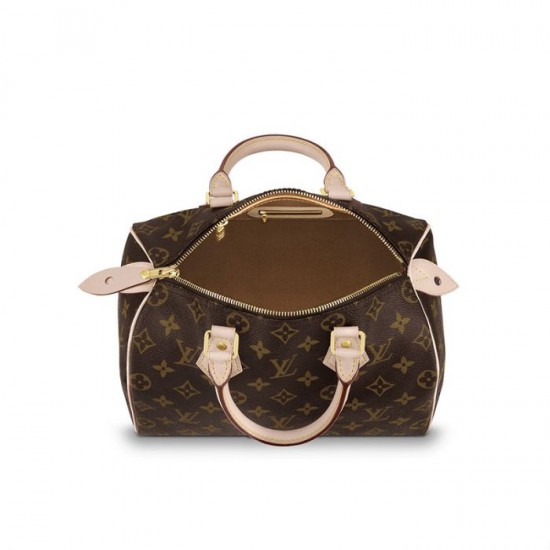 Louis Vuitton Speedy 25 M41109
