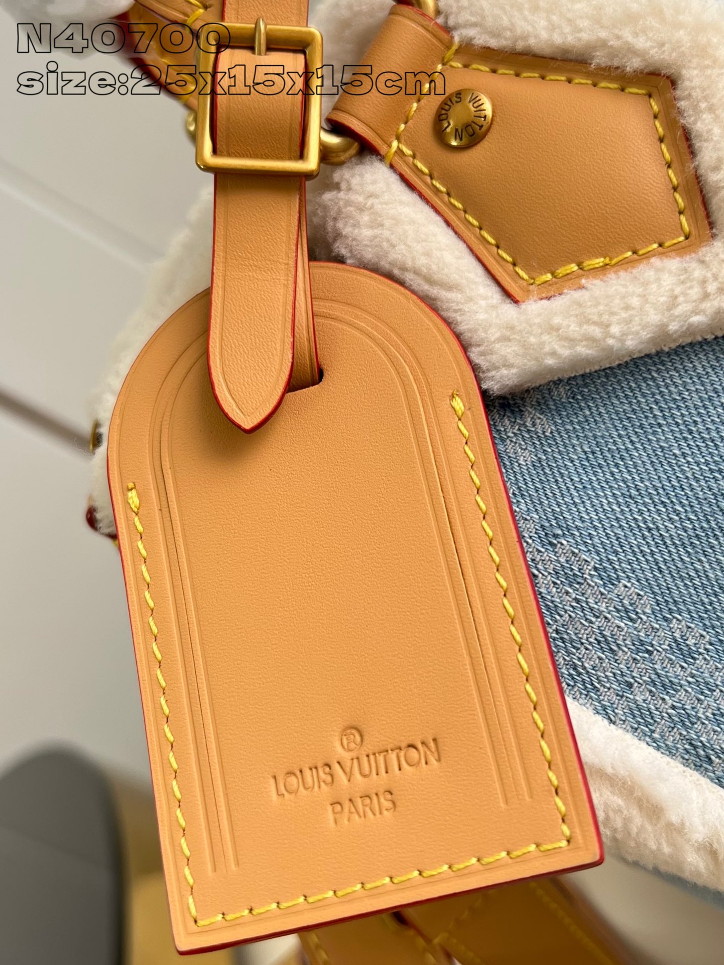 Speedy Bandouliere 25 handbag