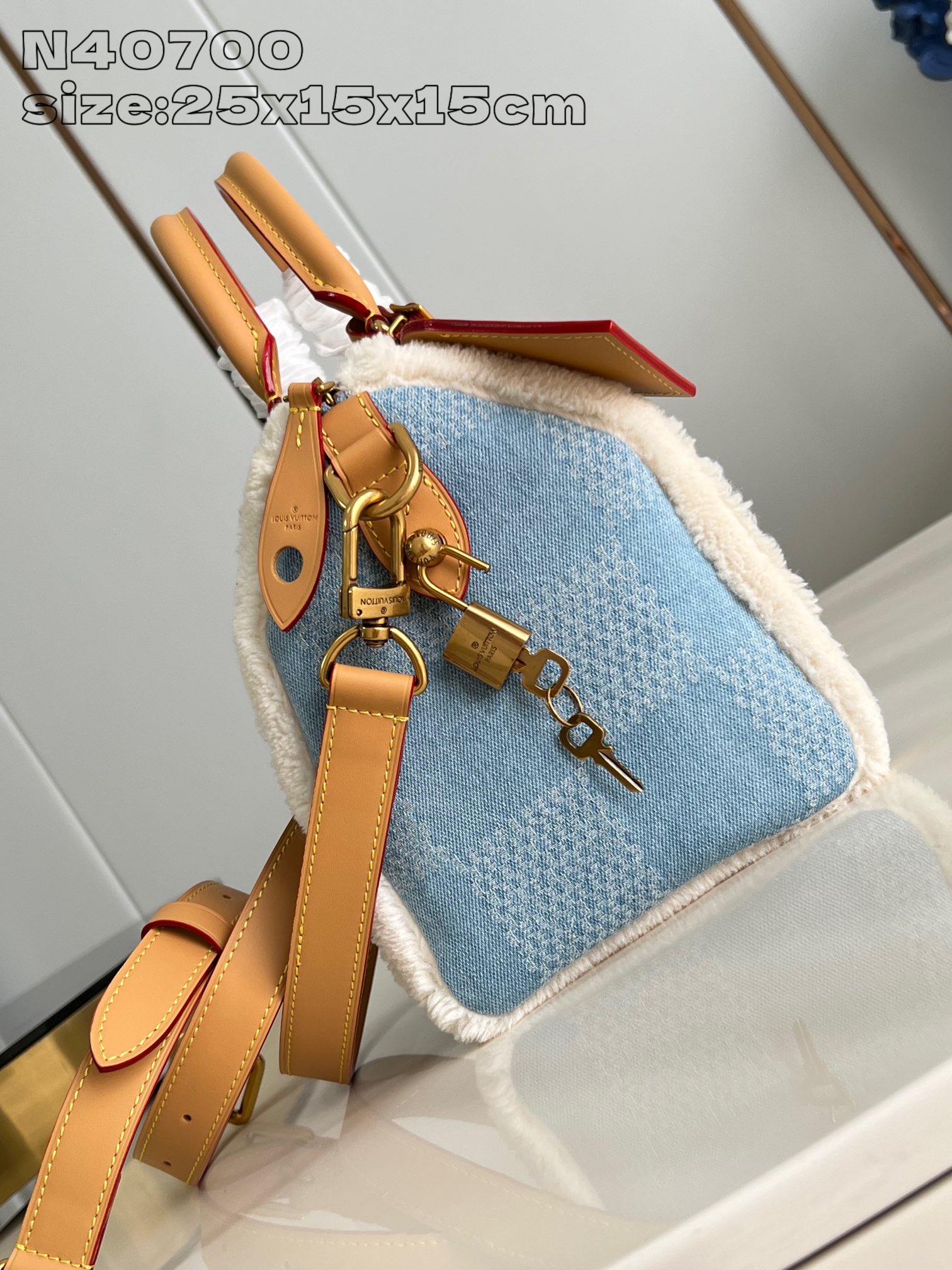 Speedy Bandouliere 25 handbag