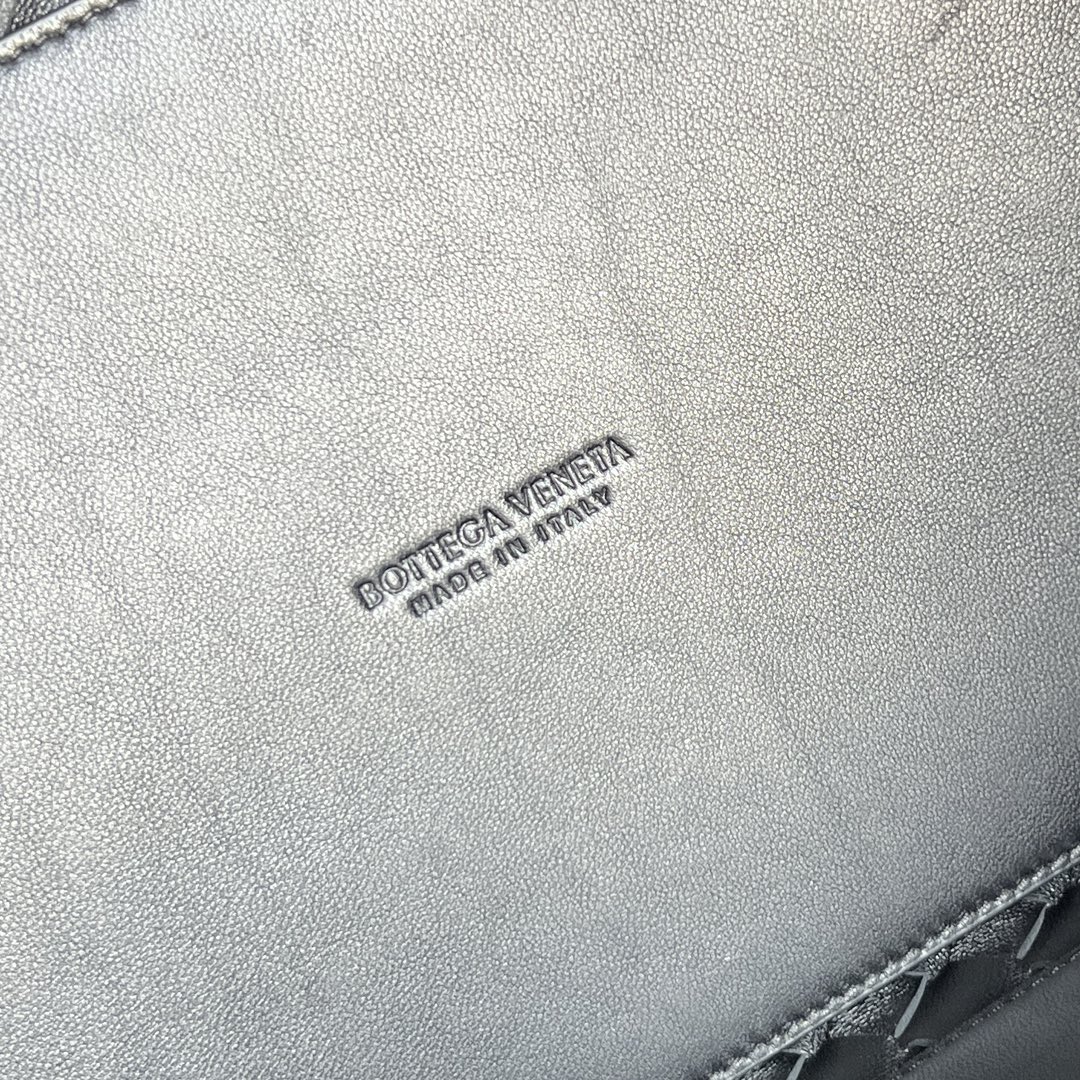 Bottega Veneta Andiamo Bag (Model 743575