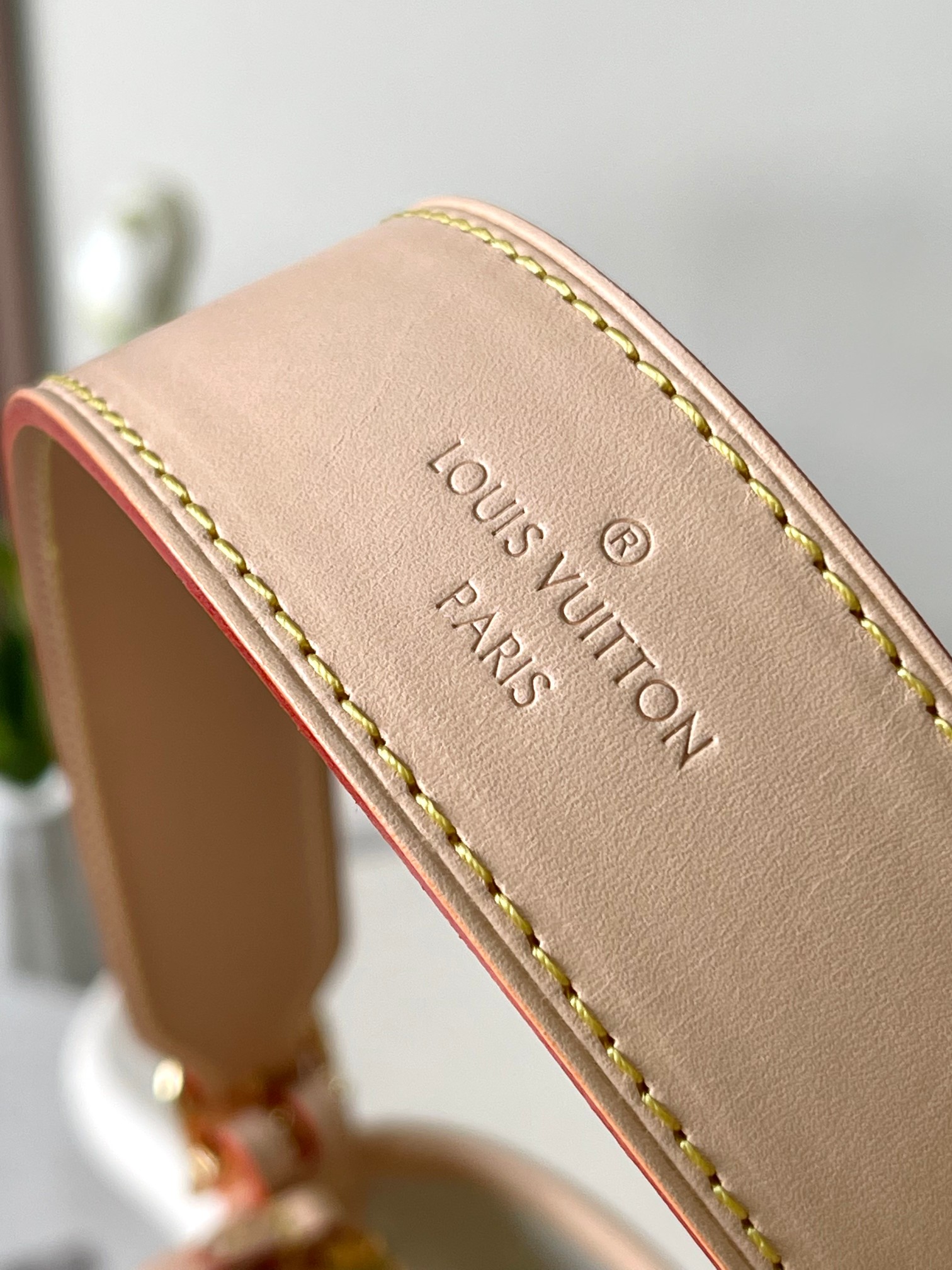 Louis Vuitton M24707 CarryAll PM Beige