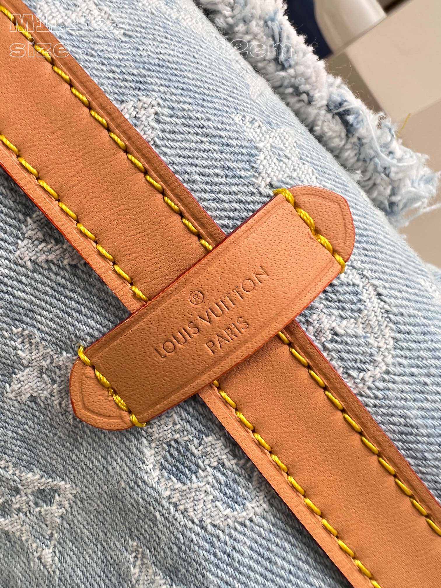 Louis Vuitton M11462 CarryAll PM Sky Blue Denim