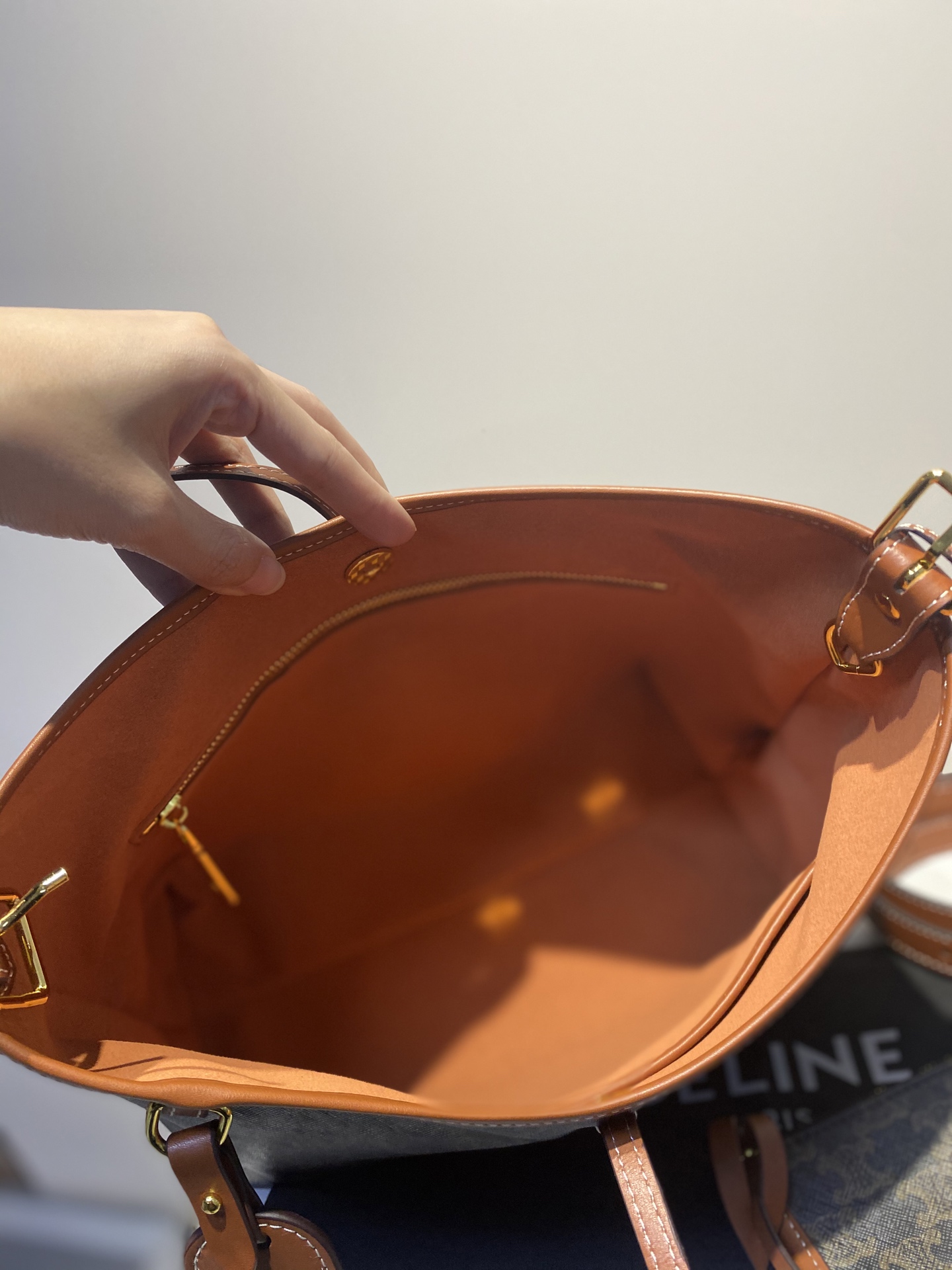 Celine Carry All Bag