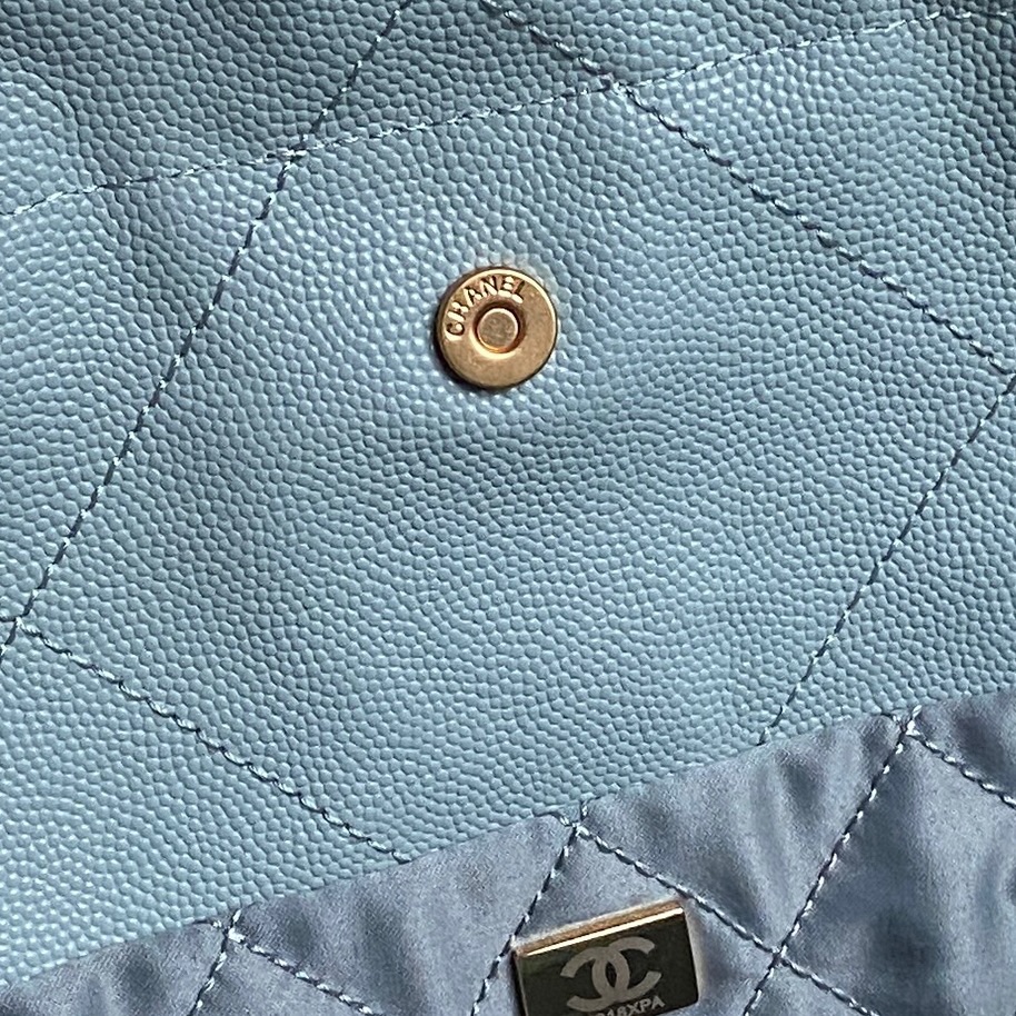 Chanel-22Bag -New color