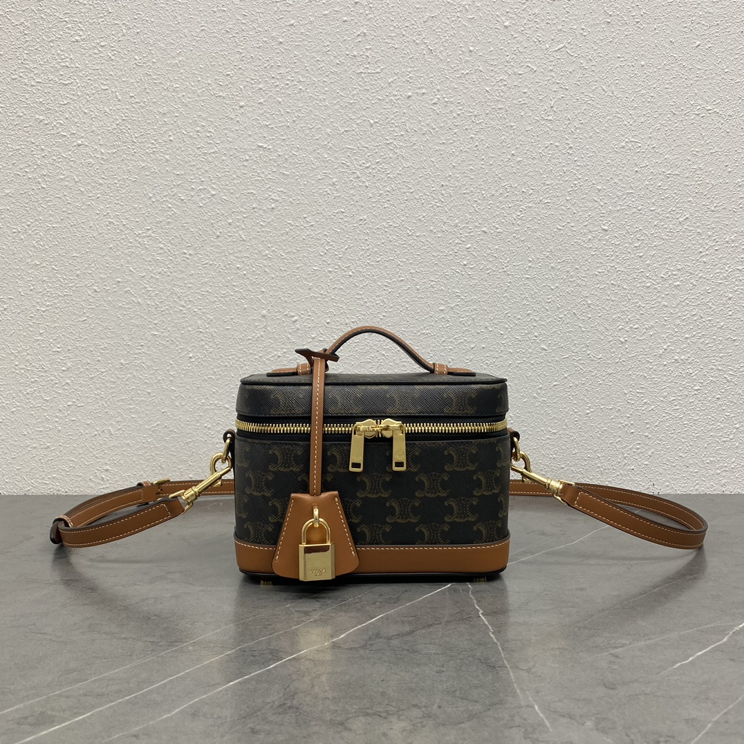 CELINE VANITY Bag