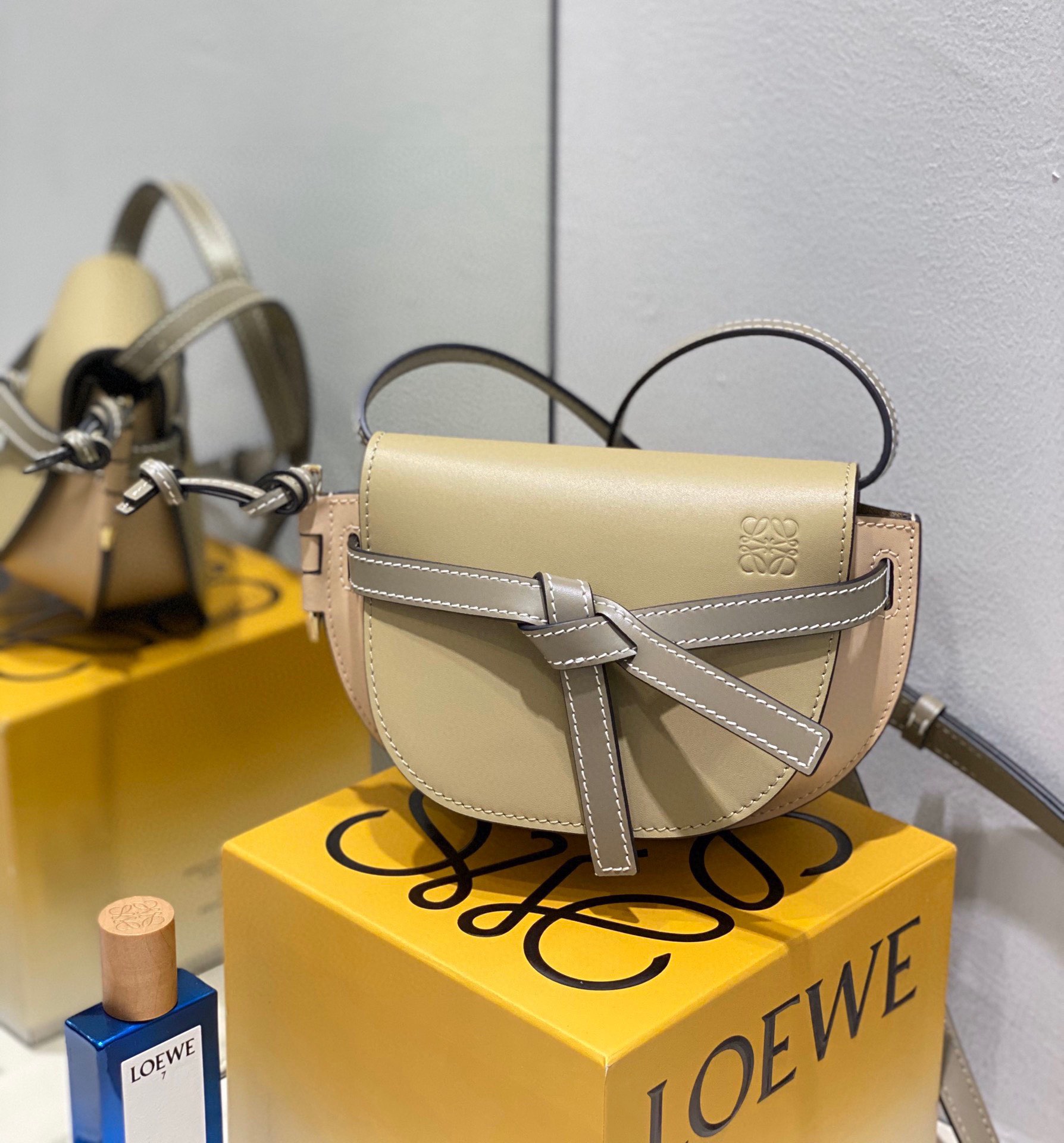 Loewe Gate Dual Mini Bag