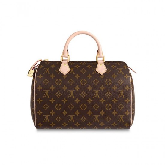 Louis Vuitton Speedy 30 M41108