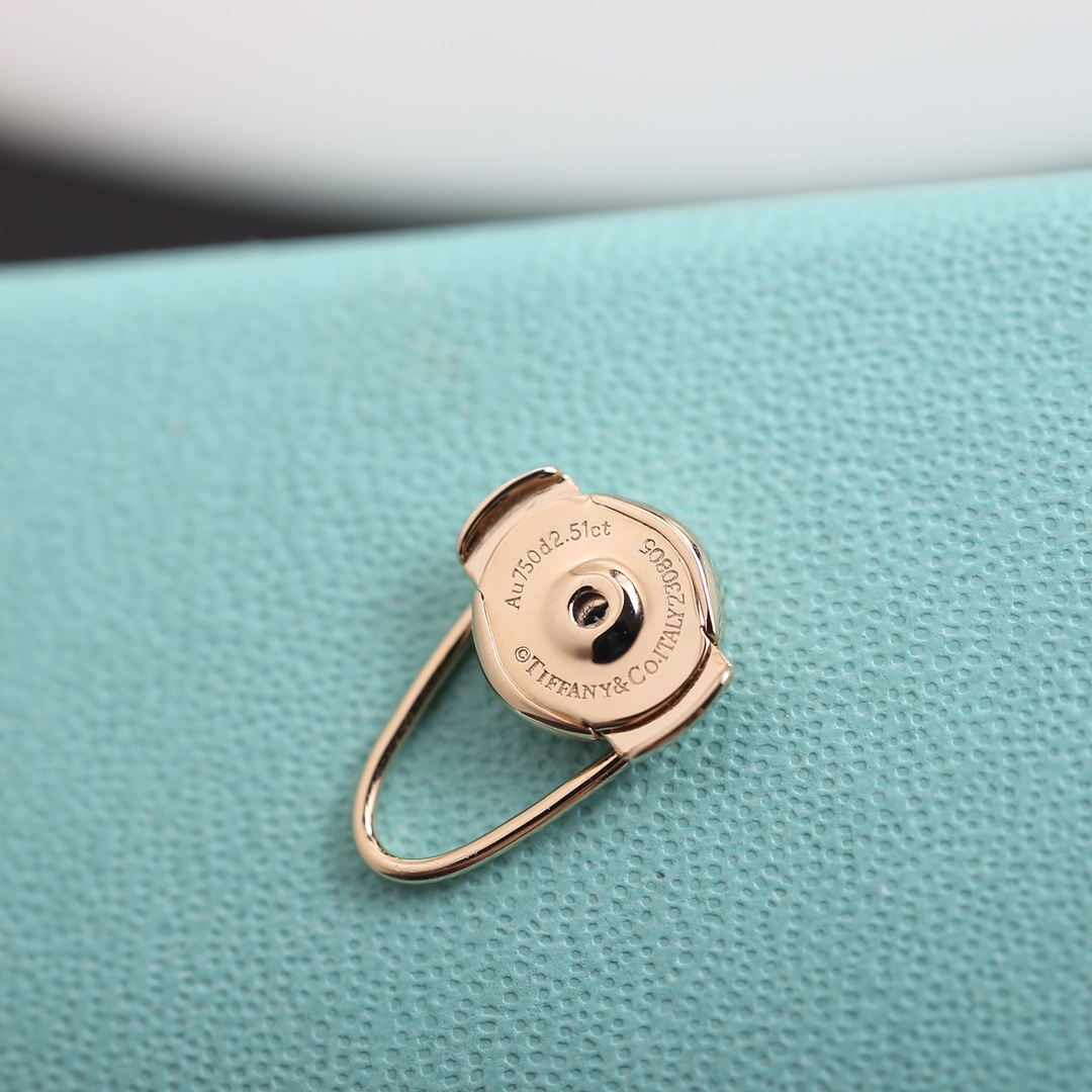 Tiffany Woven Keys Earrings