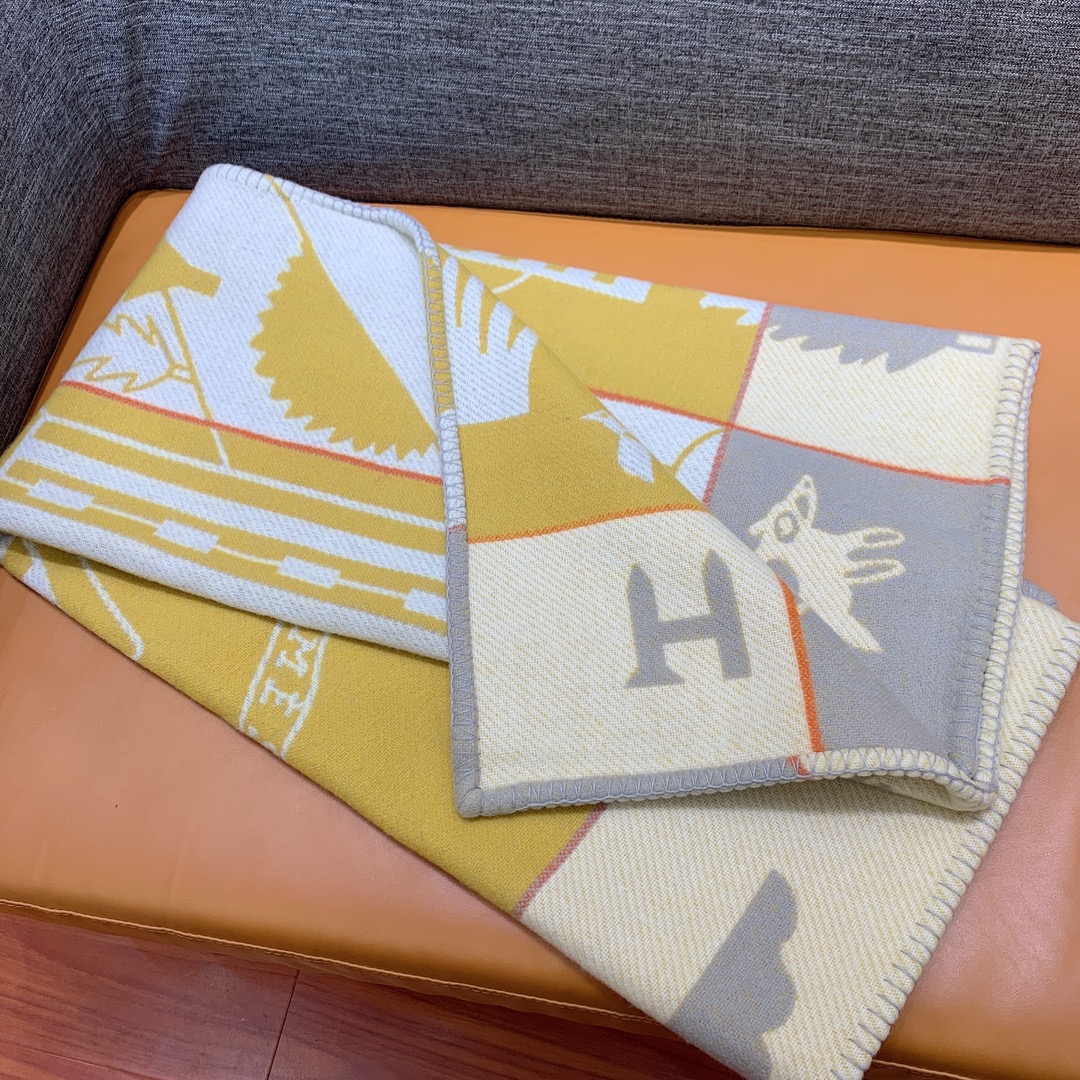 Hermès Blanket & Cushion Set
