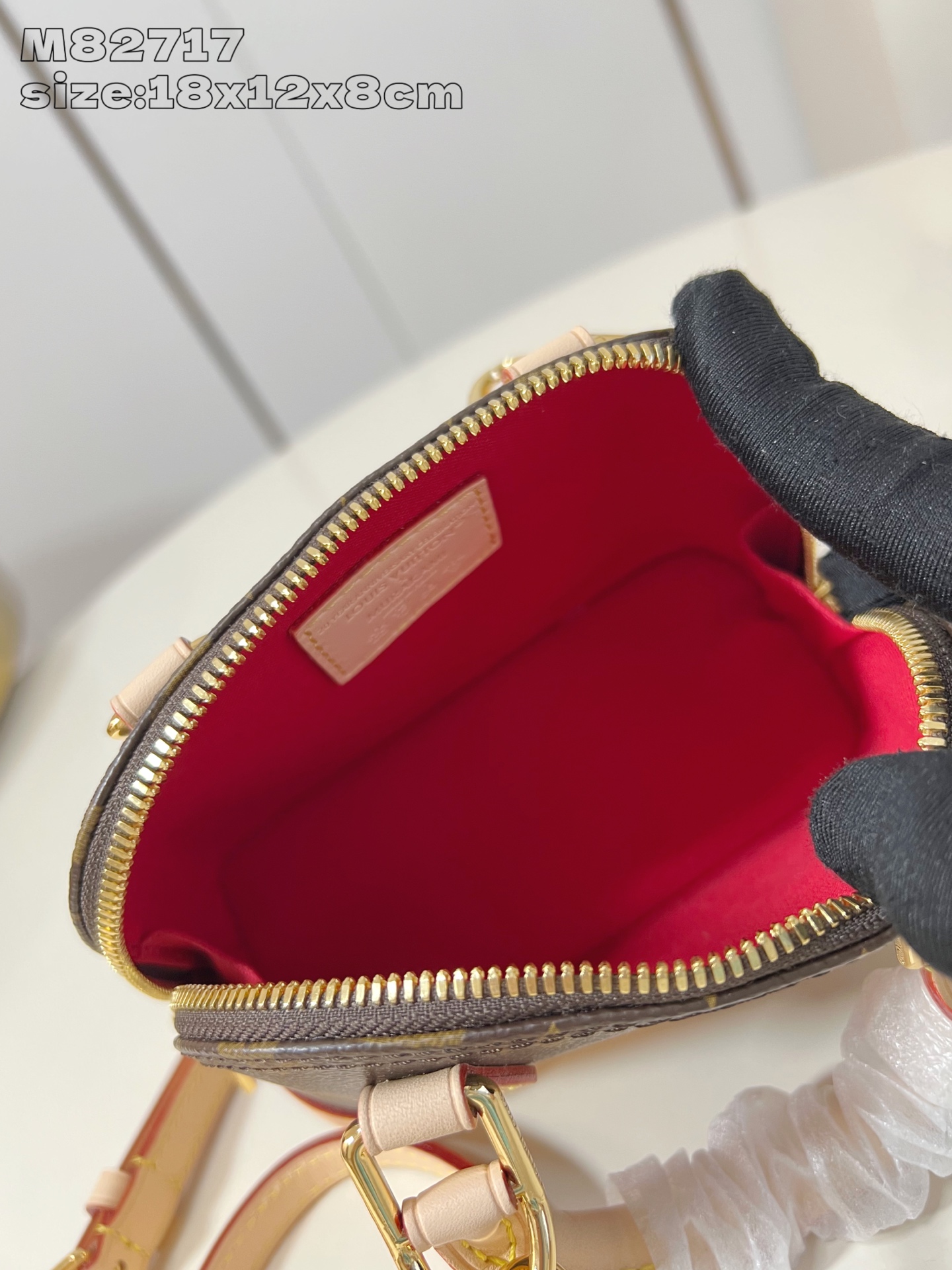 M13416 New LV x TM Nano Alma