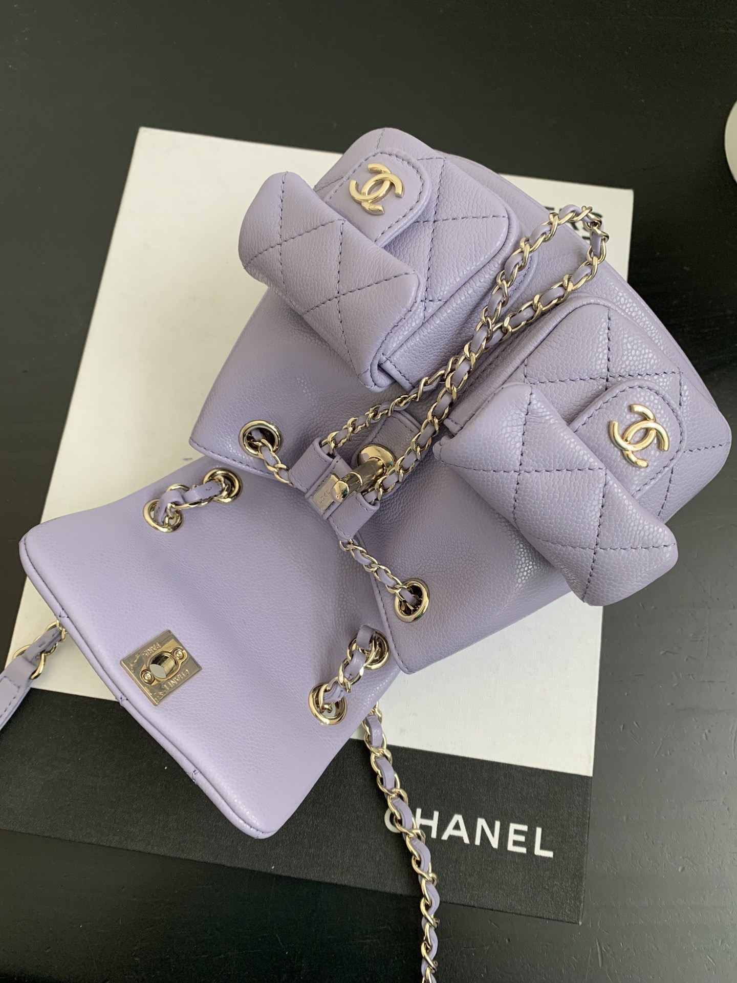 Chanel 24A Duma Backpack in Stardust Purple