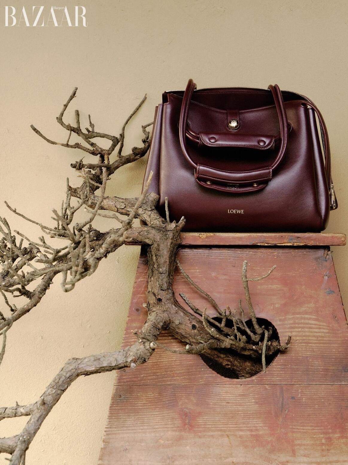 LOEWE Madrid bag-Burgundy