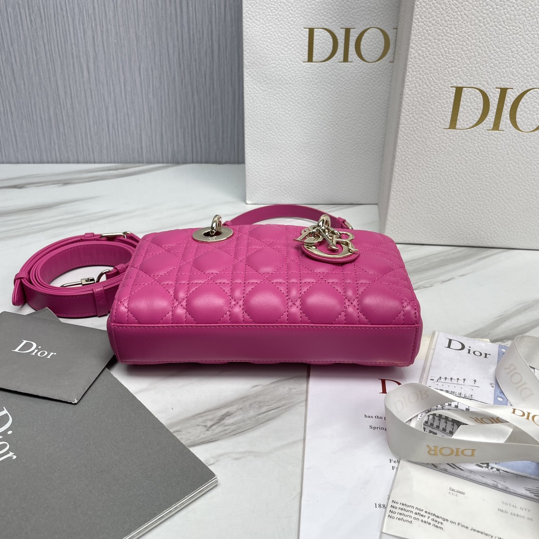 𝗗𝗶𝗼𝗿 𝗗-𝗝𝗼𝘆 𝗯𝗮𝗴- M0613