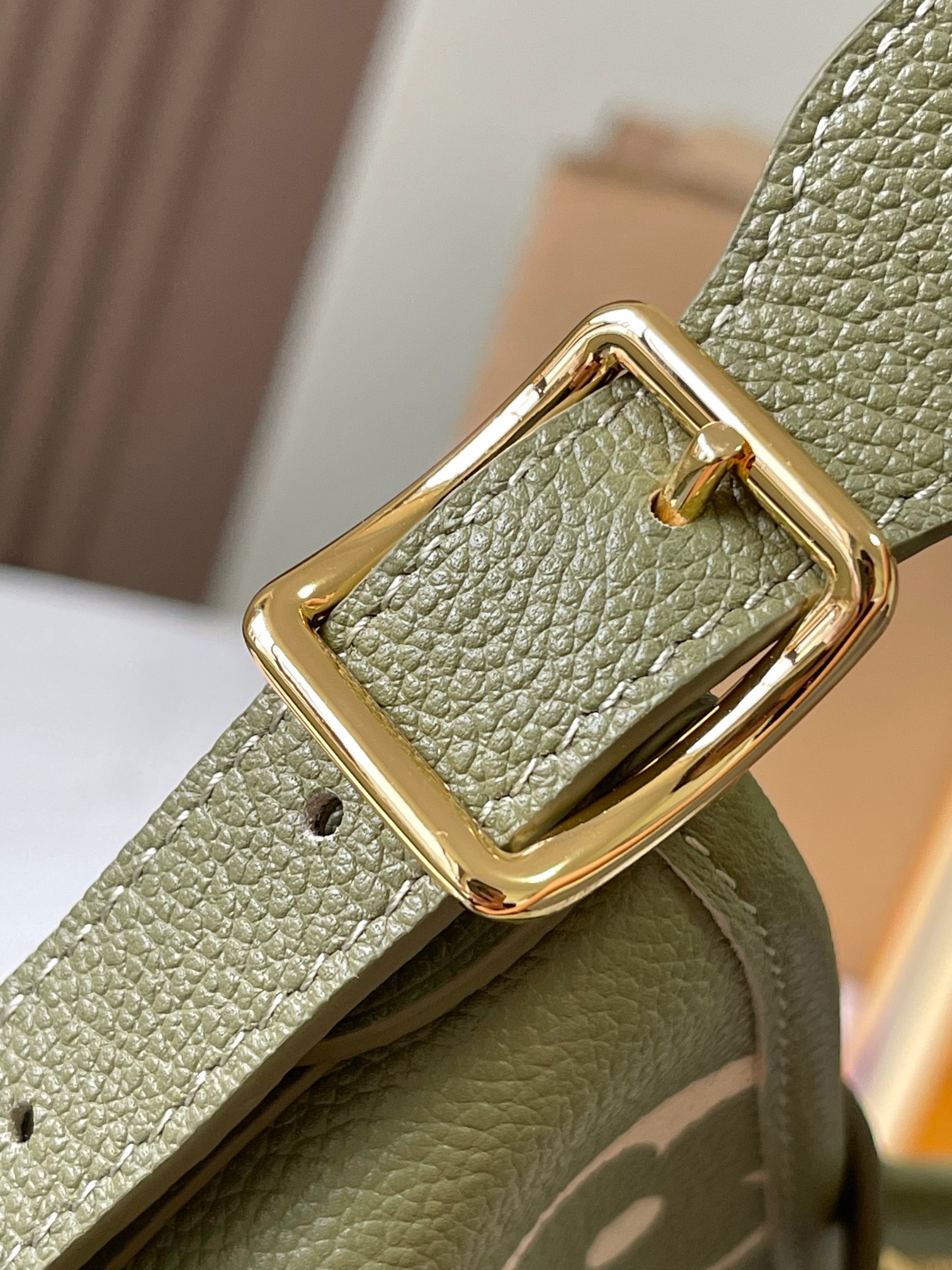 Louis Vuitton M46672 CarryAll PM Light Khaki/Cream