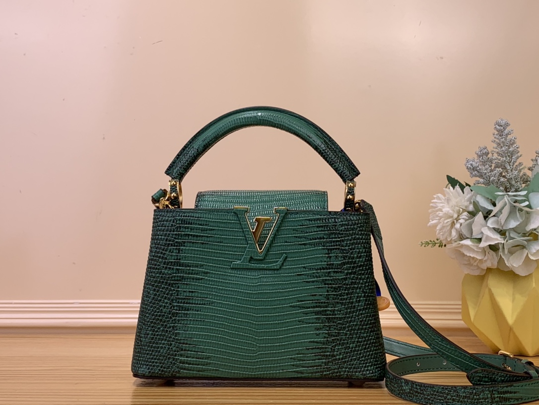 LV Capucines Mini Handbag – N48865