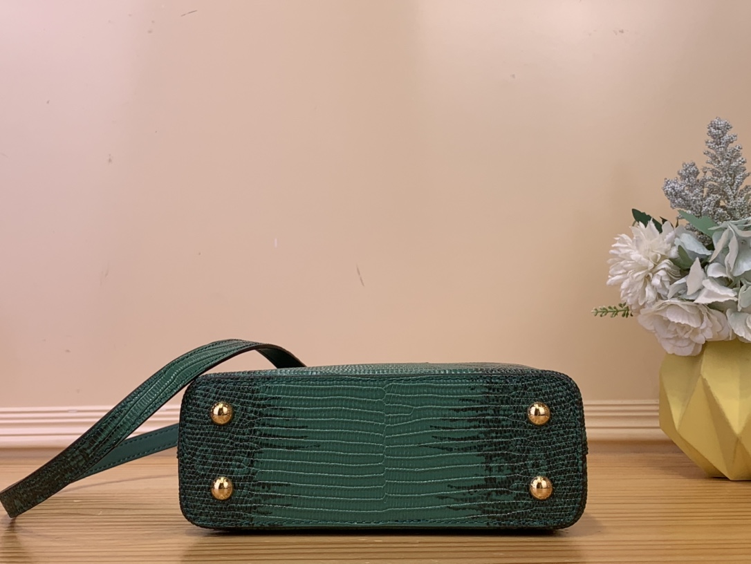 LV Capucines Mini Handbag – N48865