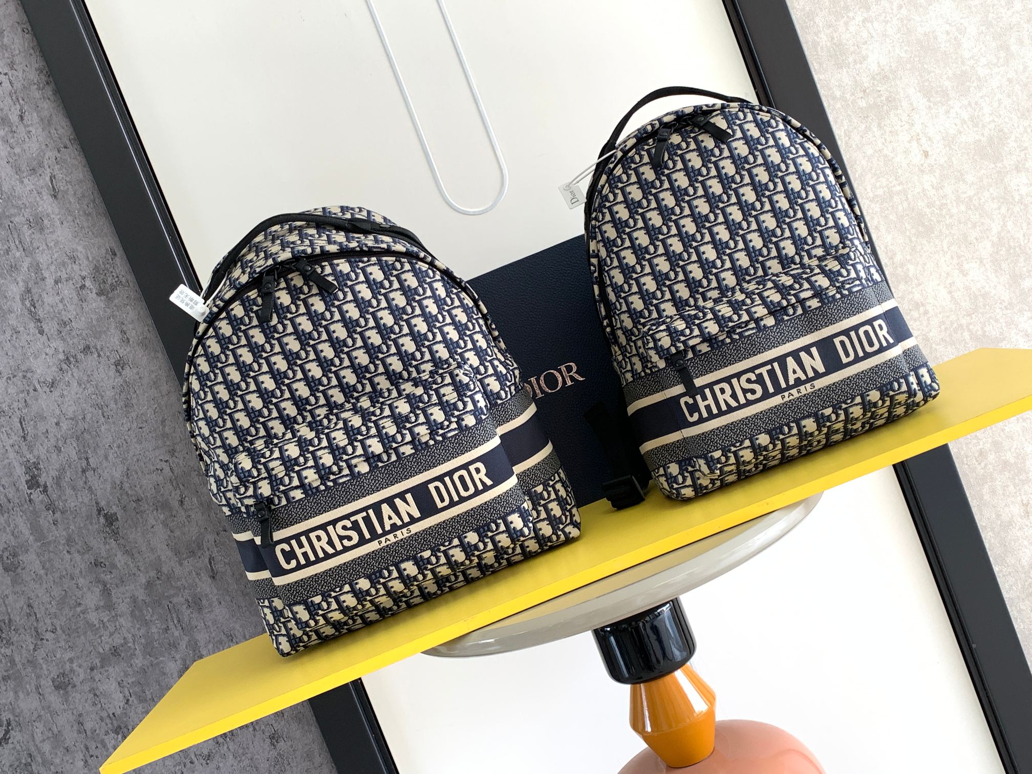 DiorTravel Backpack-6465