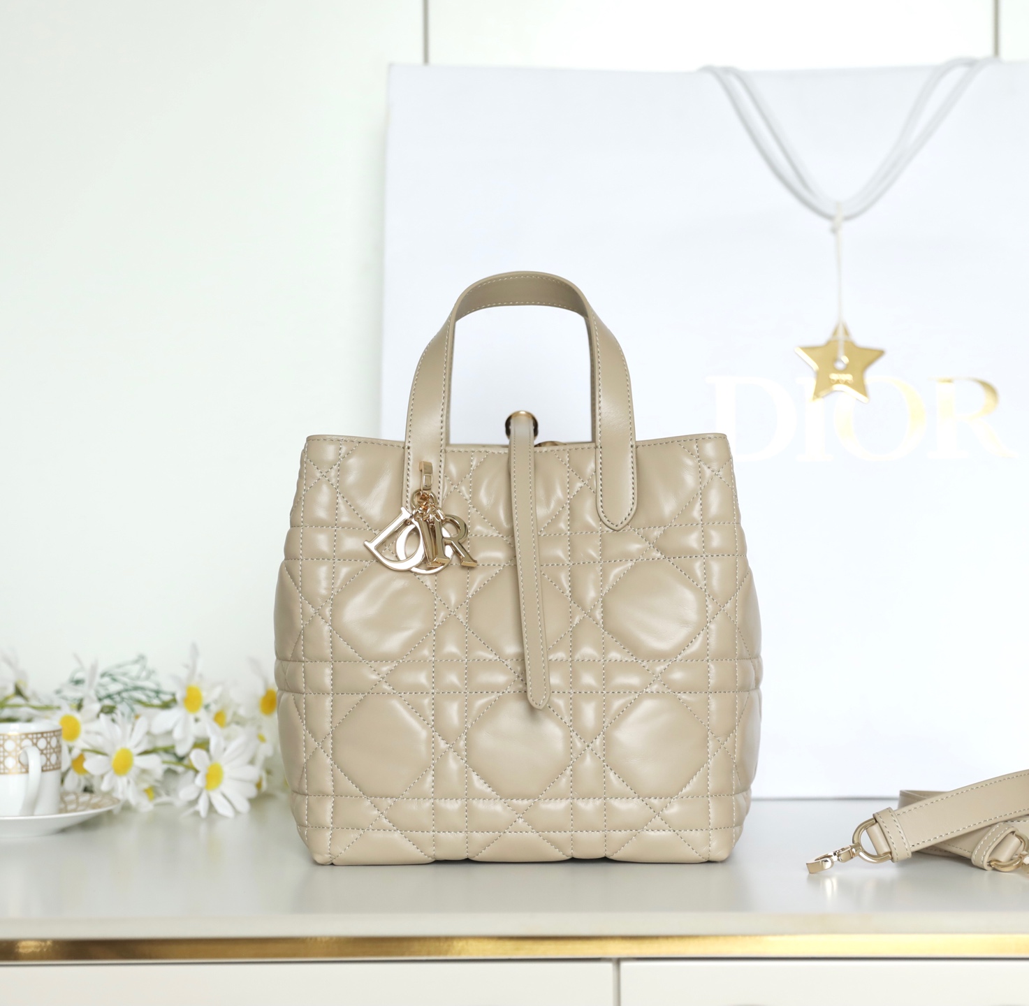 Dior Toujours Vertical Tote Bag – DR-041