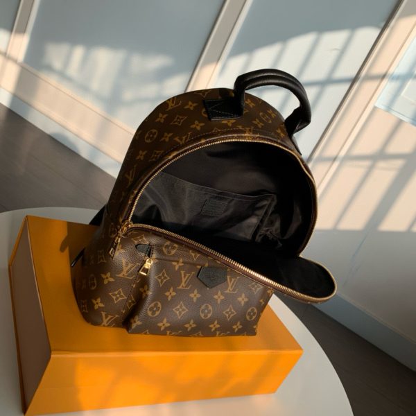 Louis Vuitton Monogram M44874 Palm Springs MM