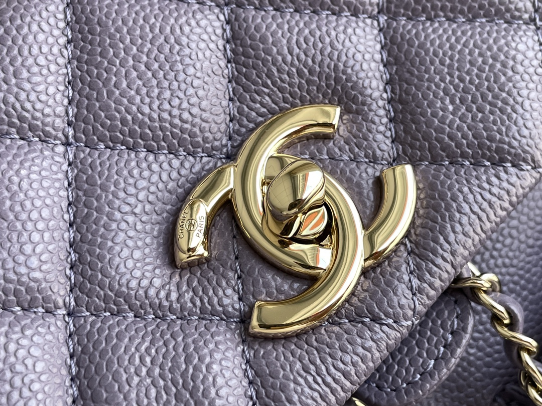 Chanel 24A New Color Upgraded Version Duma Backpack