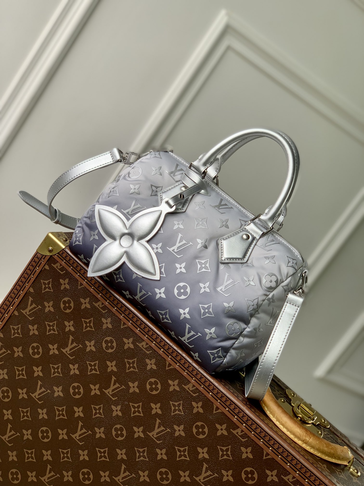 LV-M11848-Speedy Bandouliere 25 handbag