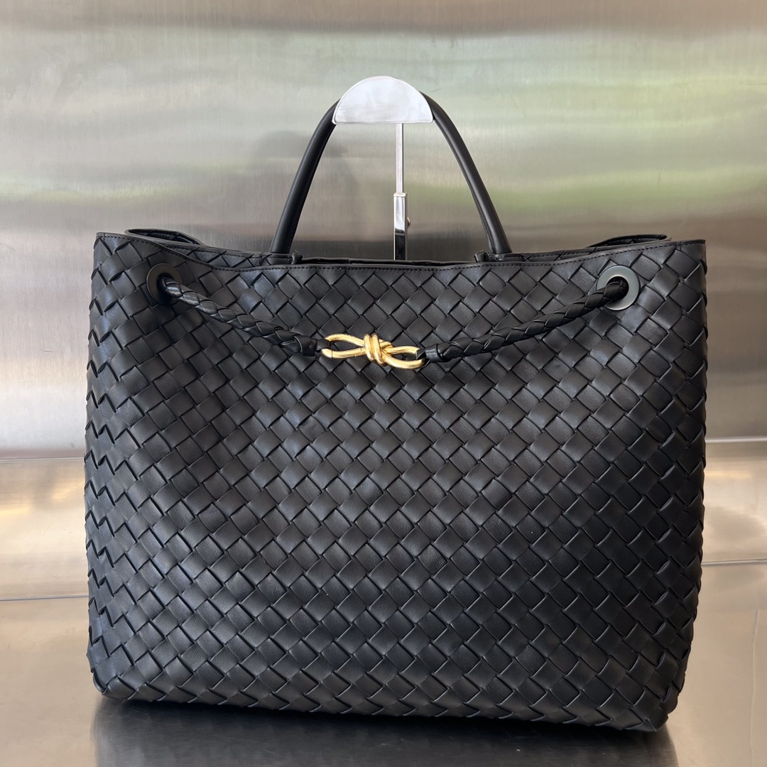 Bottega Veneta Andiamo Bag (Model 743575
