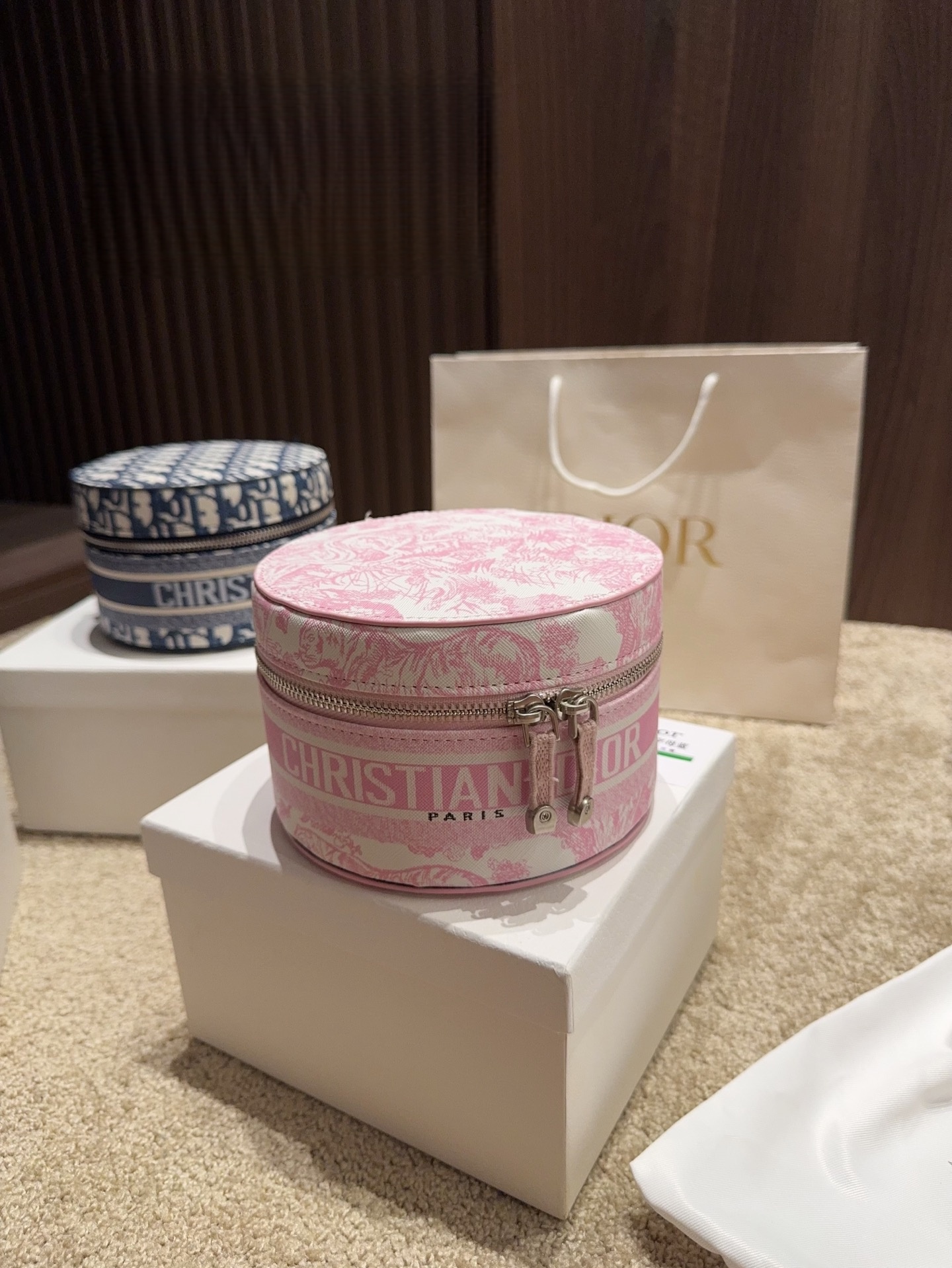 DIOR Signature Vanity Bag / Organizer