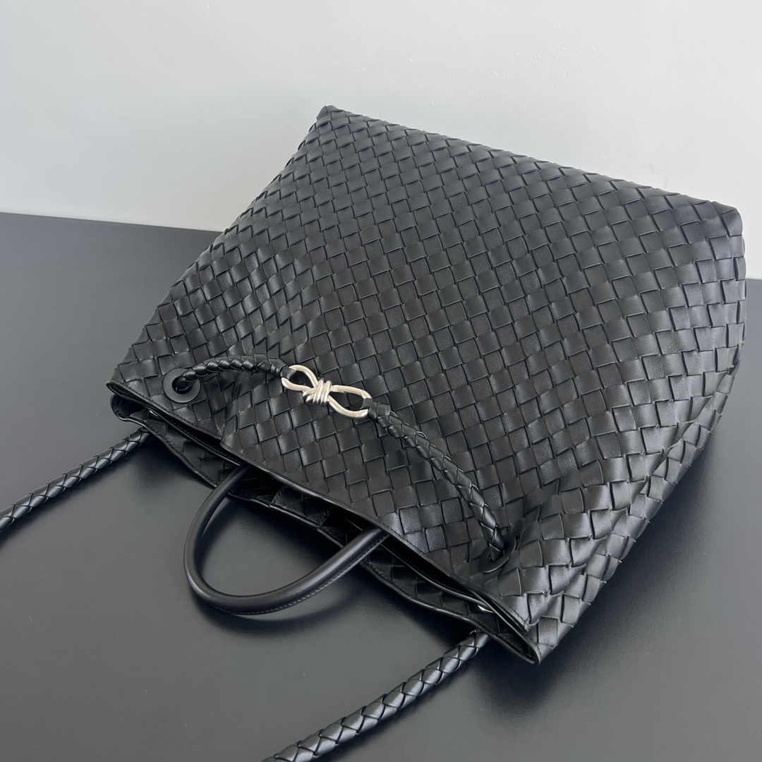 Bottega Veneta Andiamo Bag (Model 743575