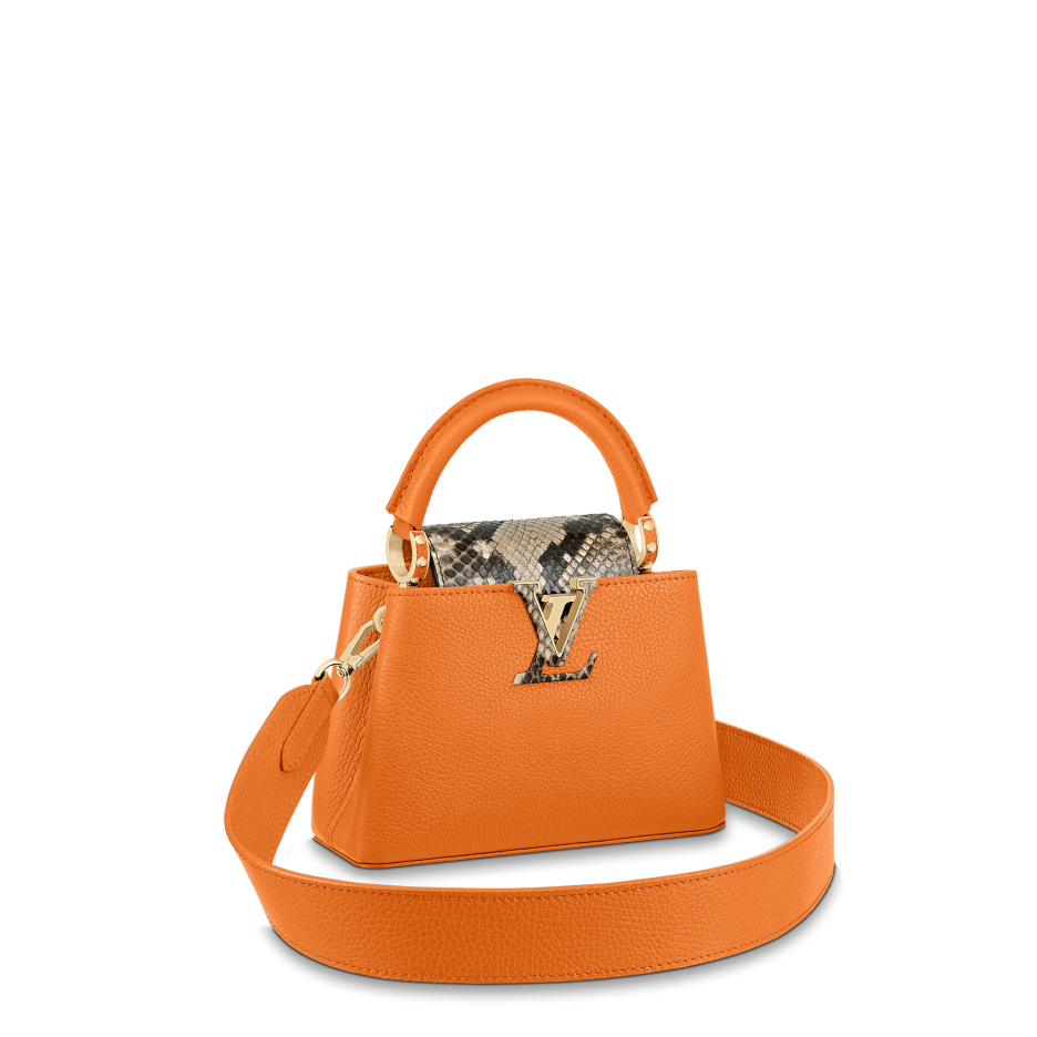 Louis vuitton Capucine MINI