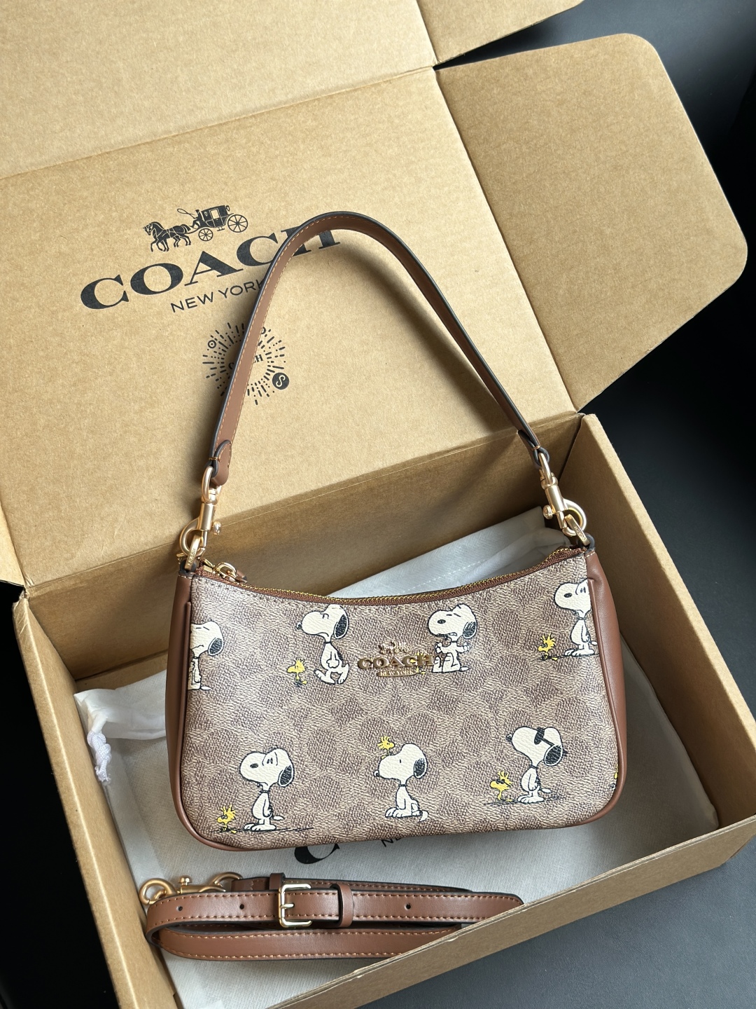 Coach X Peanuts Teri Shoulder Bag In Signature Canvas