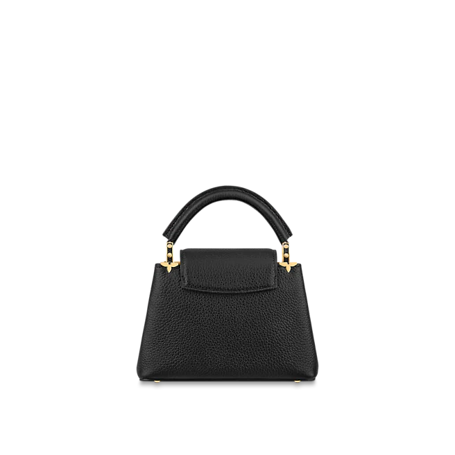 Louis vuitton Capucine MINI
