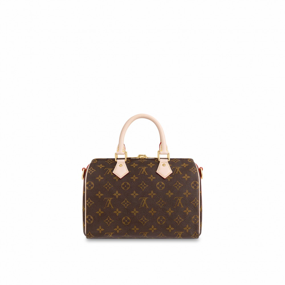 Louis Vuitton Speedy Bandouliere 25 M41113