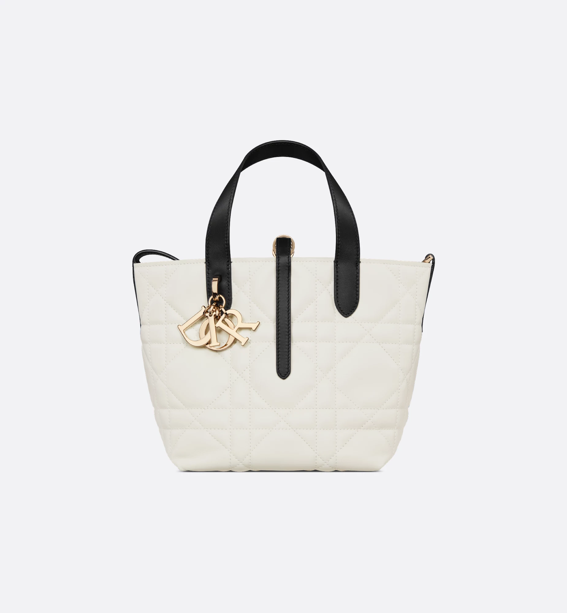 Dior Toujours SAMLL Black & White “Panda” Edition