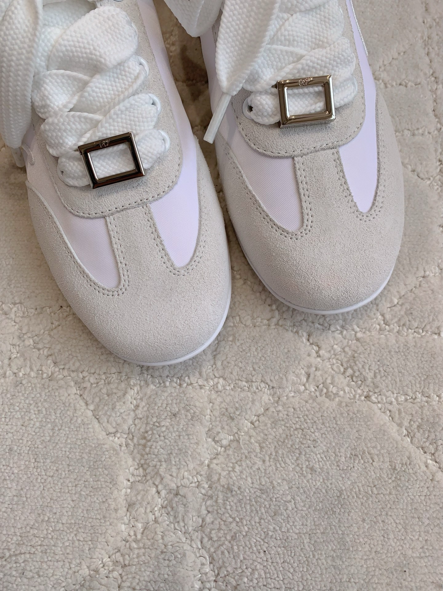 Roger vivier Low Sneakers in suede