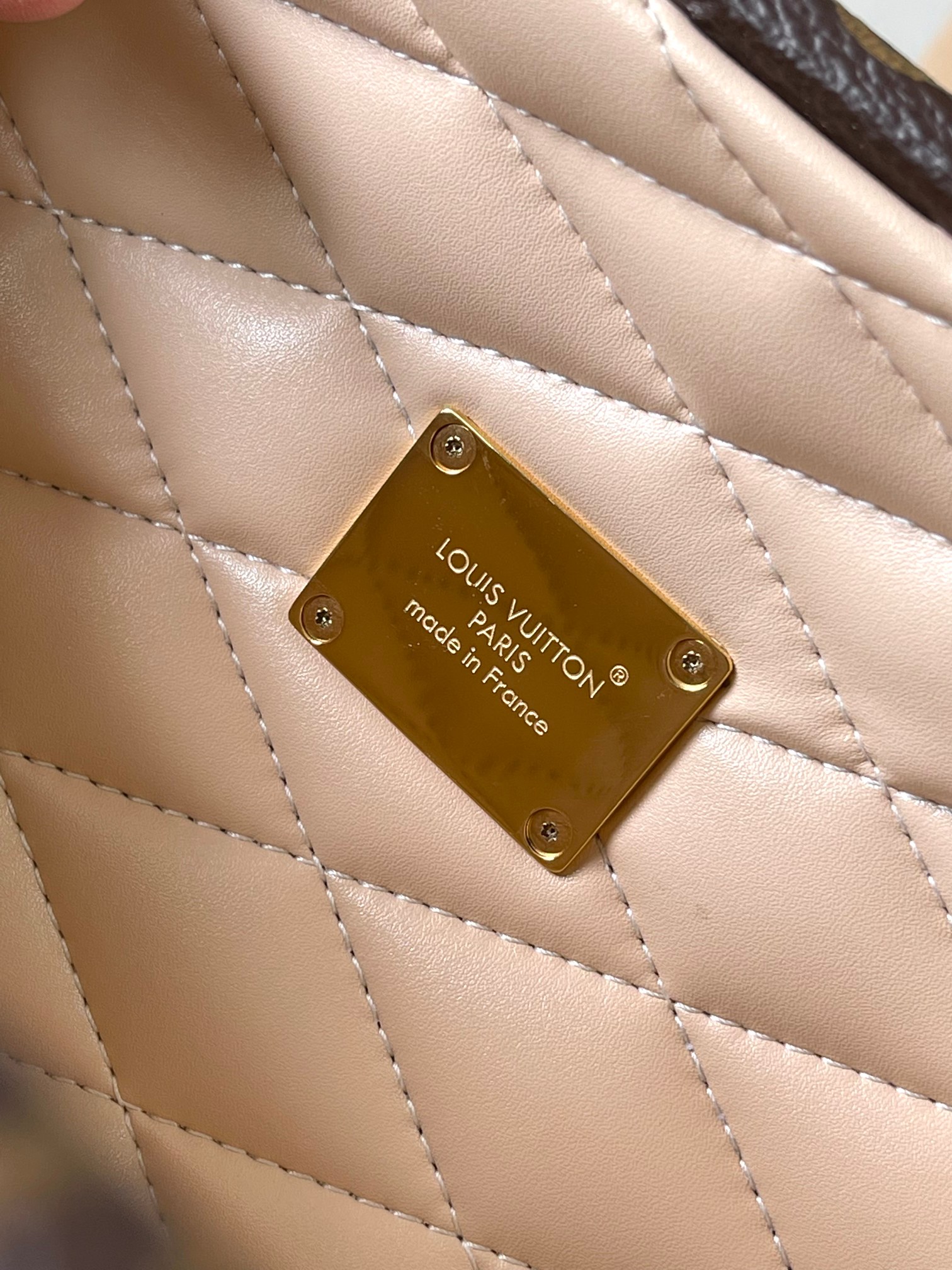 LV- Speedy 20 handbag