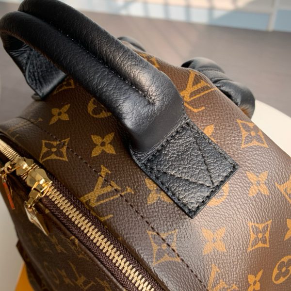 Louis Vuitton Monogram M44874 Palm Springs MM