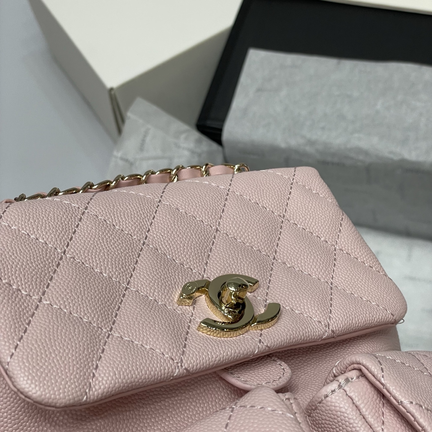 Chanel 25P Dumont Backpack in Pink