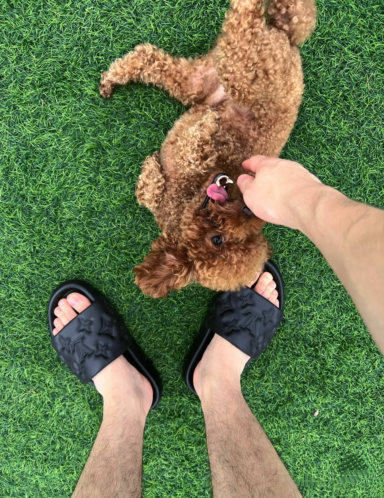 Louis Vuitton Waterfront Mule